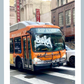 Chaka Bus Print